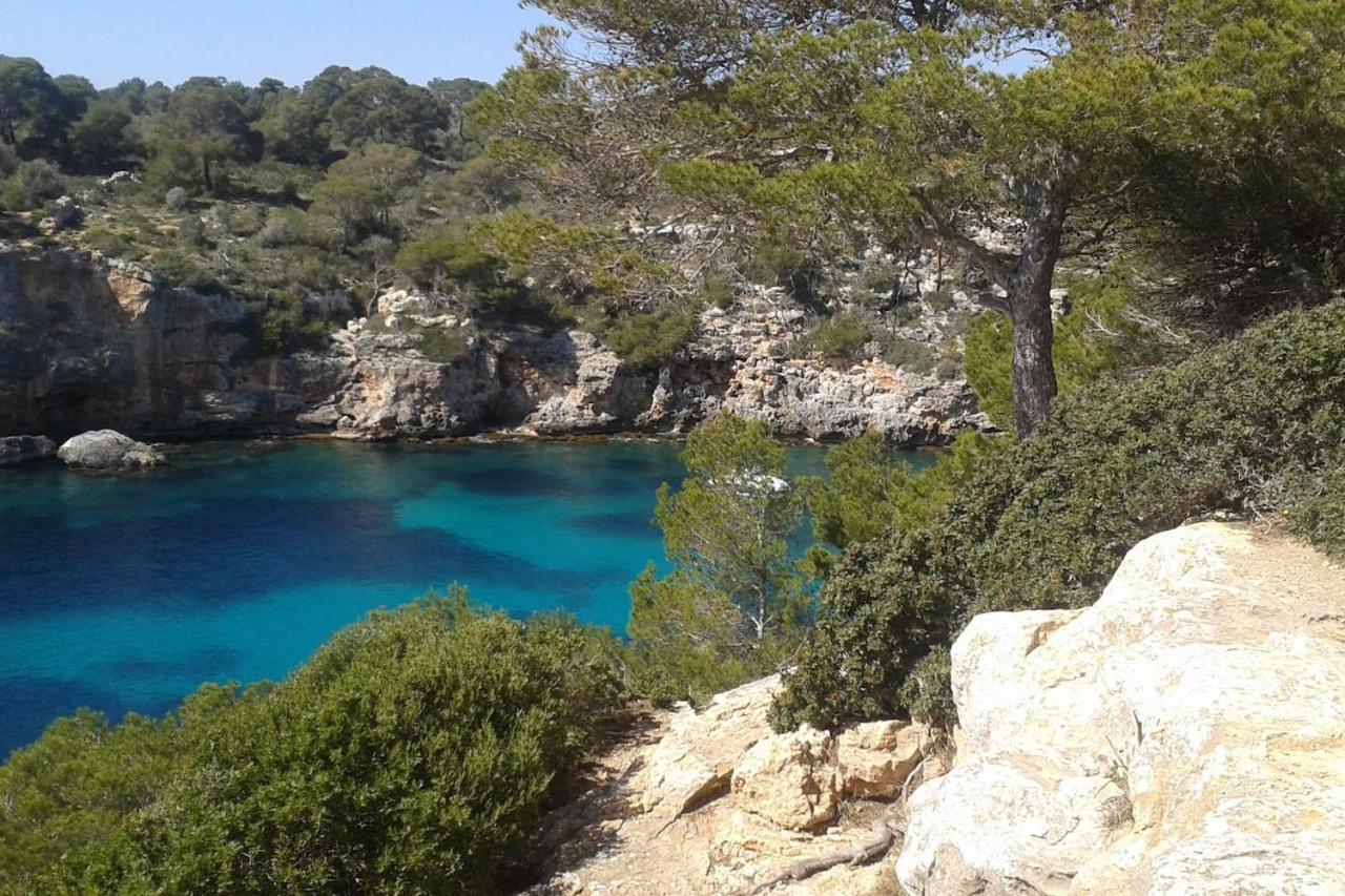 The Torrent'S Observer Holiday Home Cala Pi  Eksteriør bilde